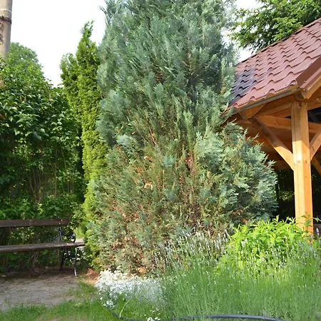 Chaloupka U Marienky Jamne Nad Orlici